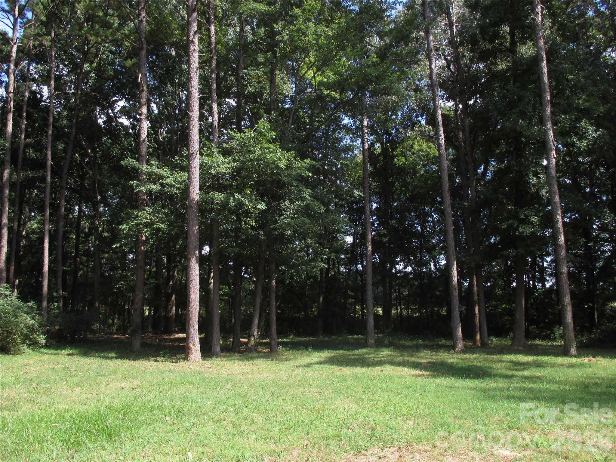 5714 Tipton Road Monroe, NC 28112 - Photo 22 of 26 a backyard of a house with lots of green space and trees