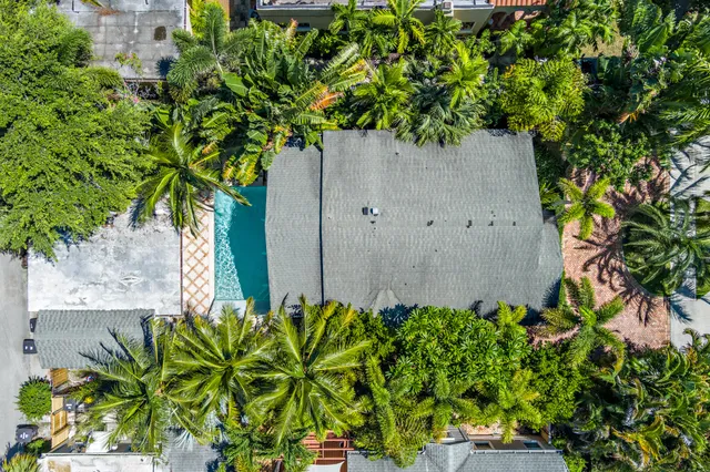 an outdoor space with plants