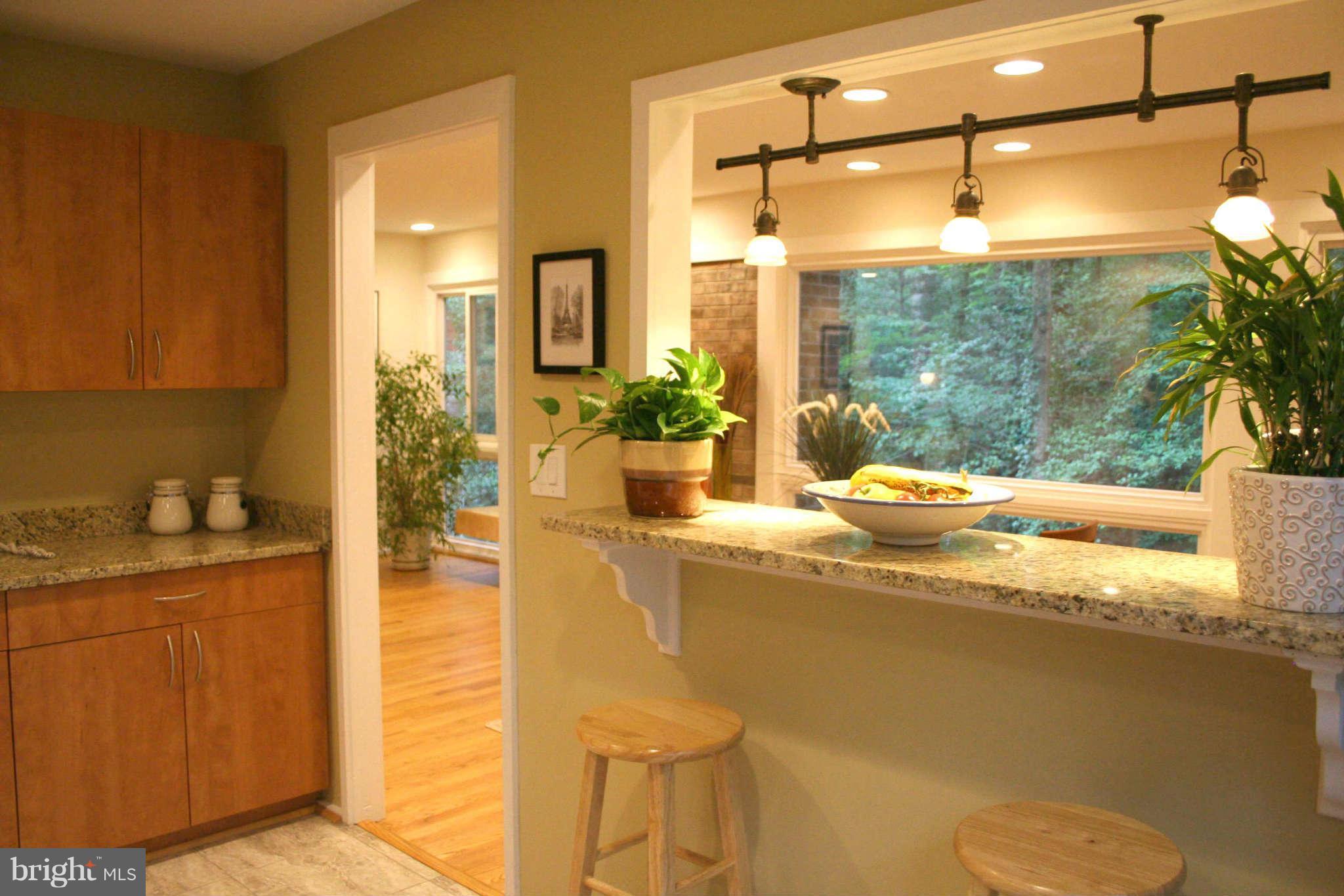 12232 Quorn Lane Reston, VA 20191 - Photo 14 of 20 Beautiful Open PassThru w Custom Lighting
