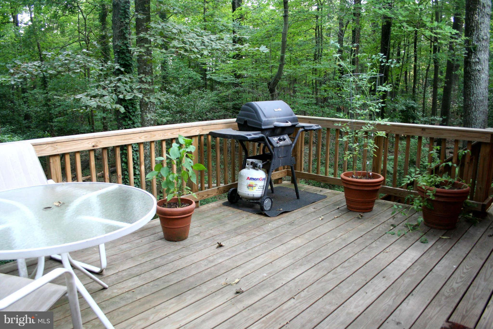 12232 Quorn Lane Reston, VA 20191 - Photo 15 of 20 Spacious Newly Stained Deck w Treed Views