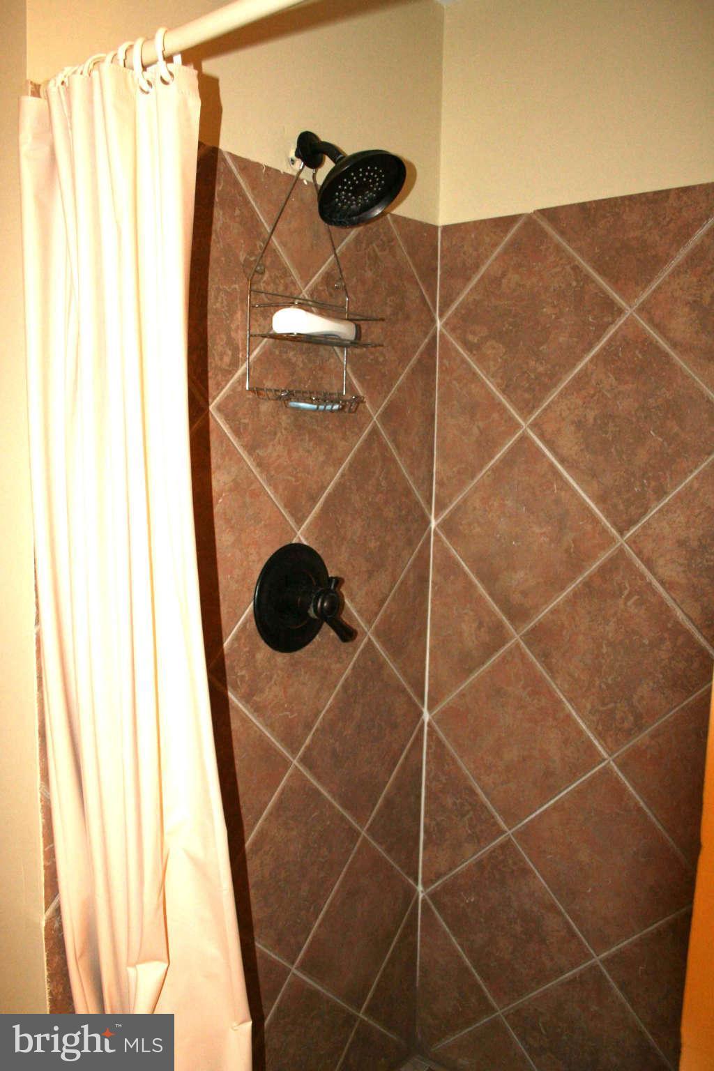 12232 Quorn Lane Reston, VA 20191 - Photo 9 of 20 Separate Walk in Shower