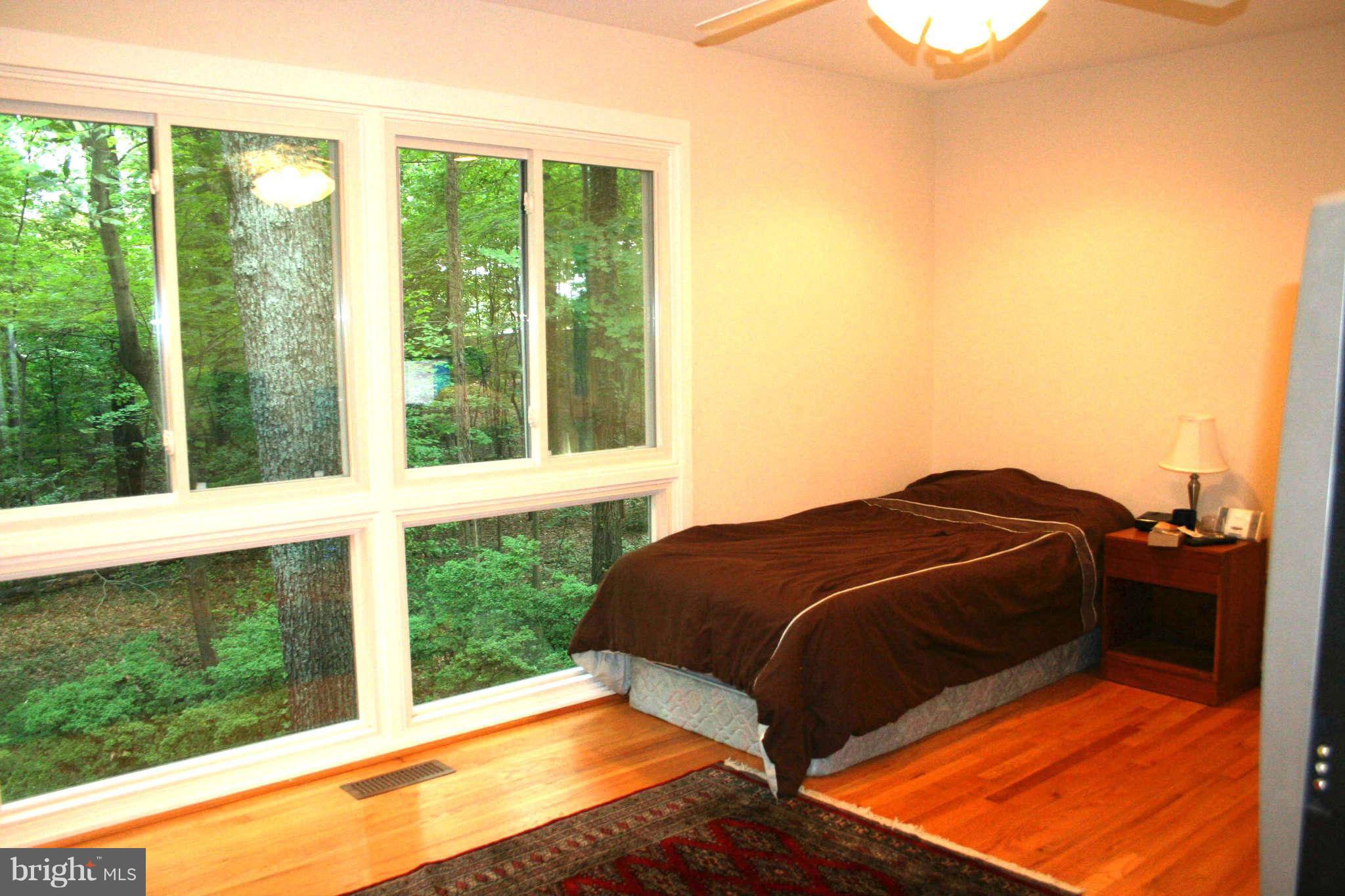 12232 Quorn Lane Reston, VA 20191 - Photo 10 of 20 Wall of Windows Looks Out to View of Nature