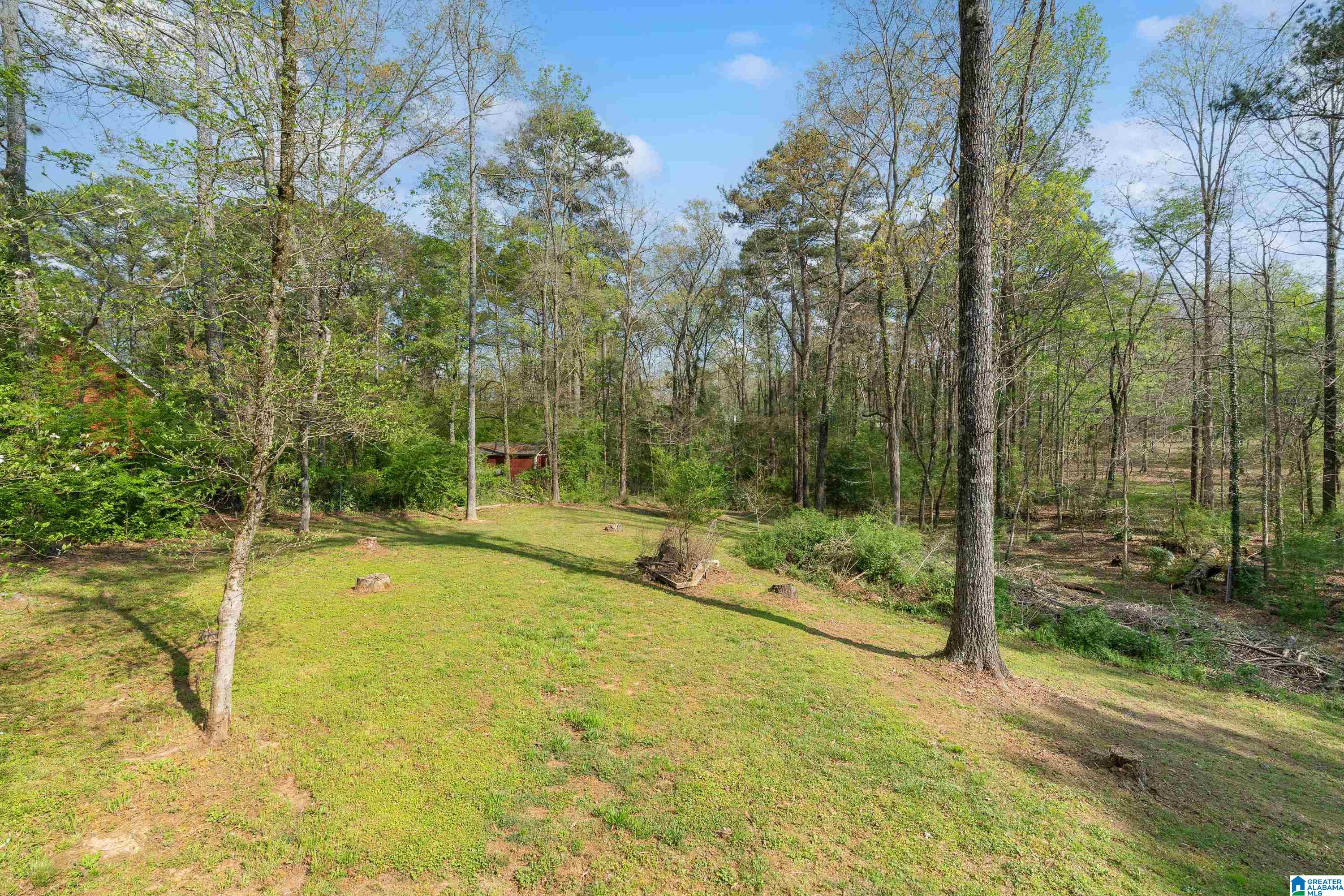 121 Timber Trail Chelsea, AL 35043 - Photo 38 of 42