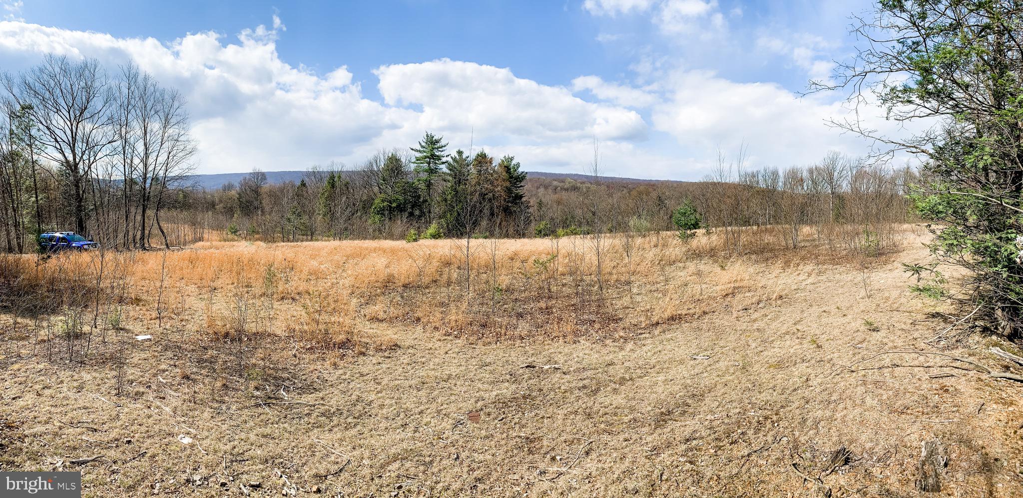 3451 Stone Arch Road Millerstown, PA 17062 - Photo 1 of 29 Gallery Image 1