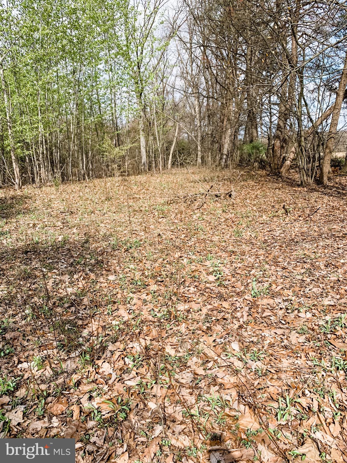 3451 Stone Arch Road Millerstown, PA 17062 - Photo 13 of 29 Gallery Image 13