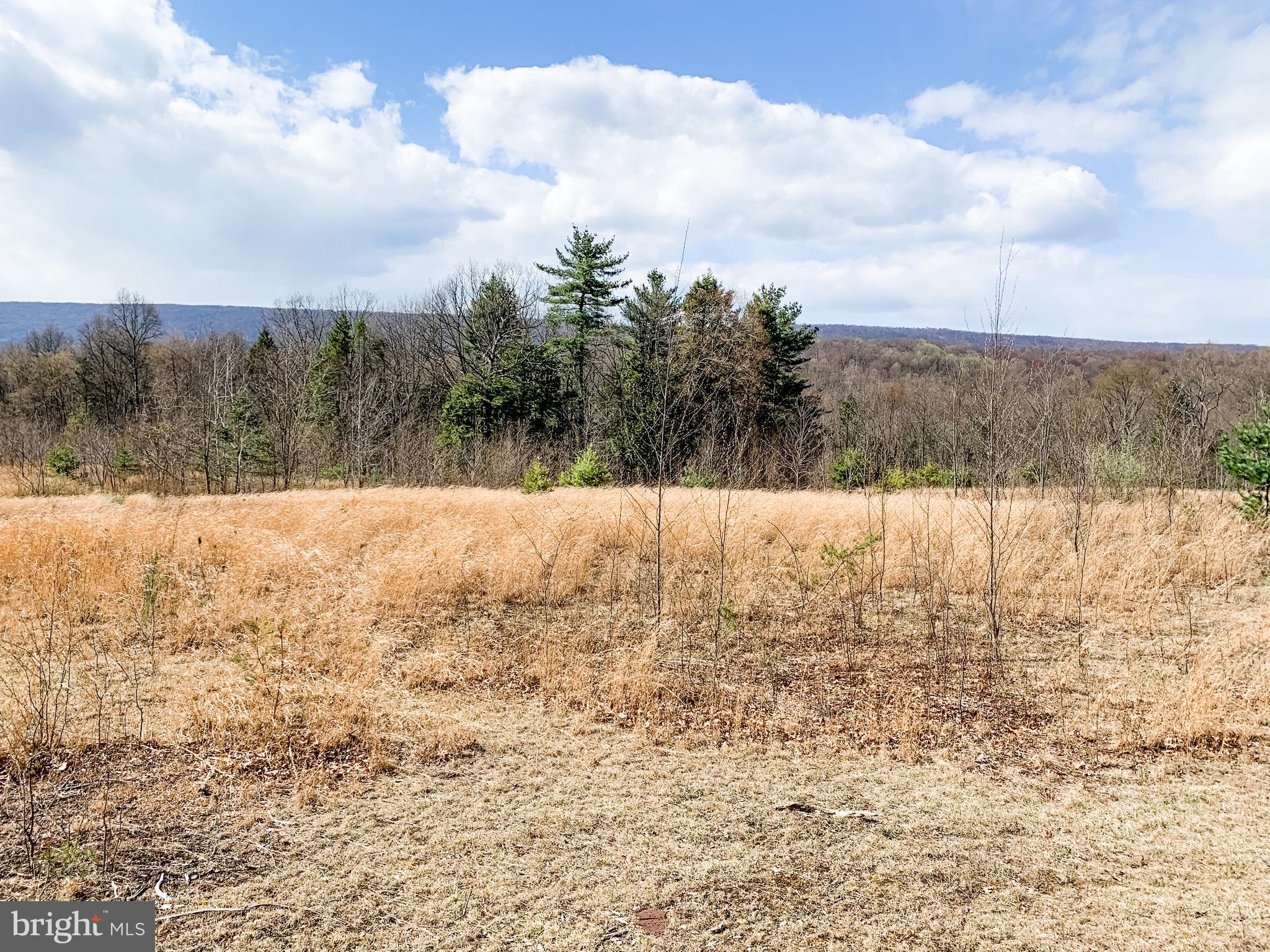 3451 Stone Arch Road Millerstown, PA 17062 - Photo 19 of 29 Gallery Image 19