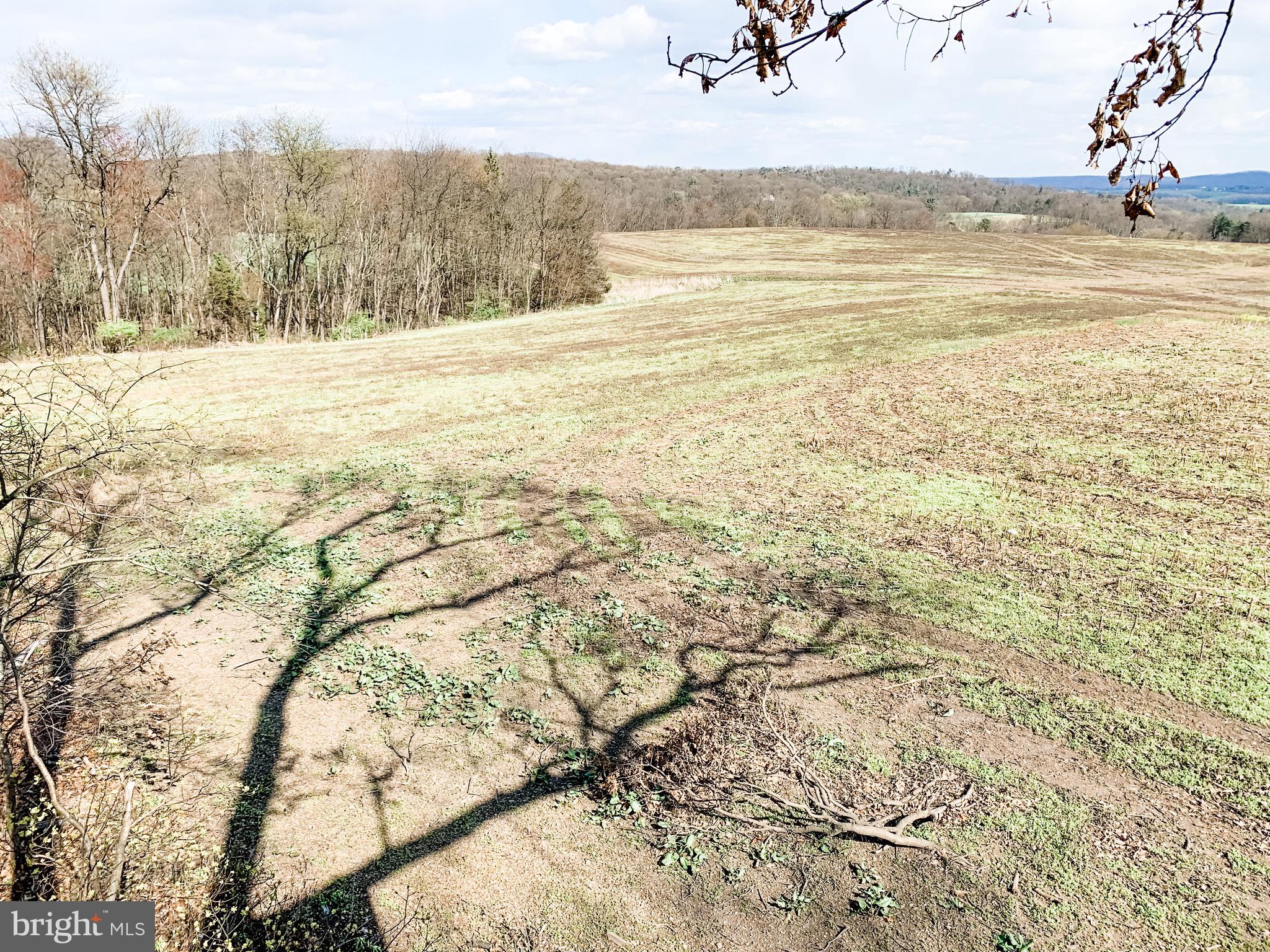 3451 Stone Arch Road Millerstown, PA 17062 - Photo 20 of 29 Gallery Image 20