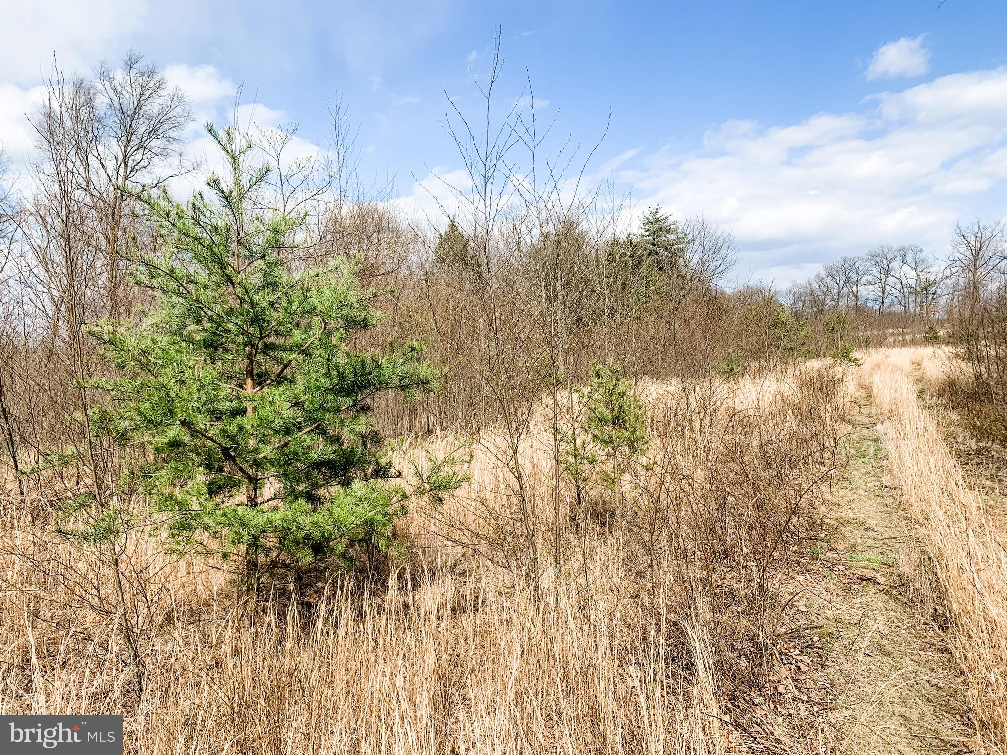 3451 Stone Arch Road Millerstown, PA 17062 - Photo 22 of 29 Gallery Image 22