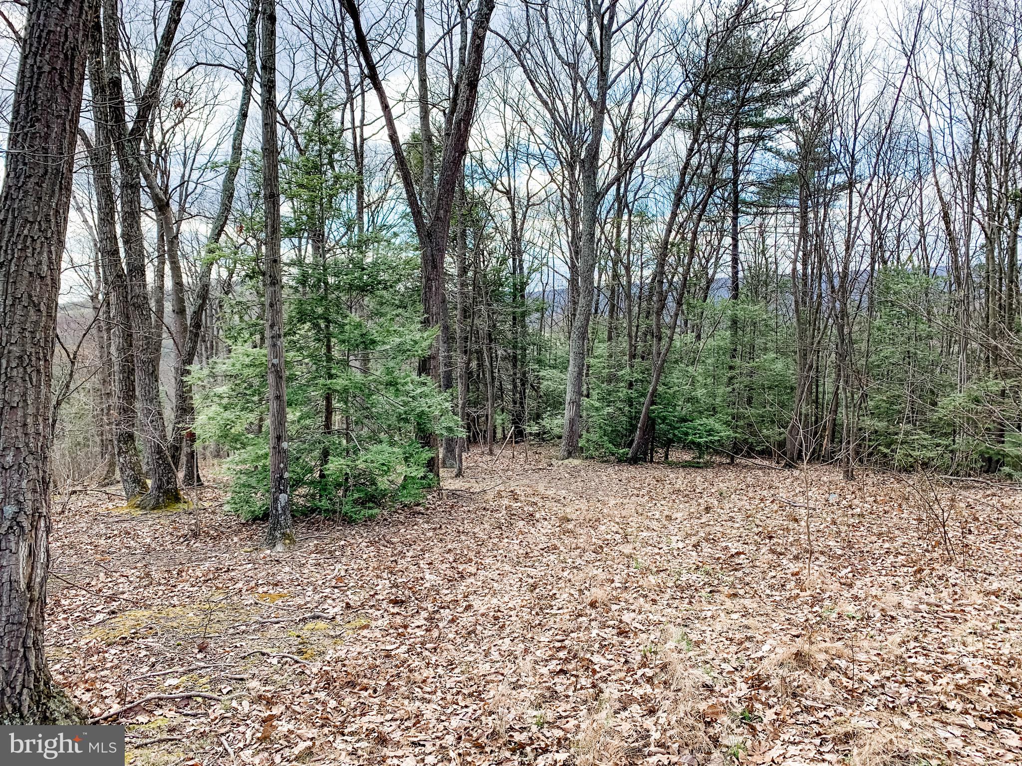 3451 Stone Arch Road Millerstown, PA 17062 - Photo 25 of 29 Gallery Image 25