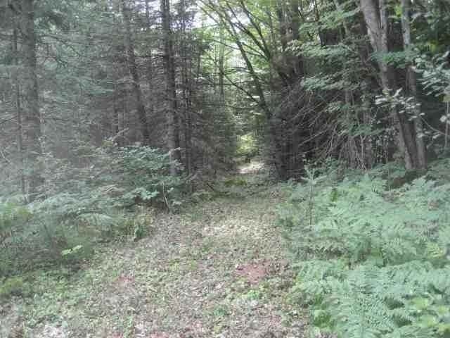 4535 South Island Lake Road Hurley, WI 54534 - Photo 14 of 20 Gallery Image 14