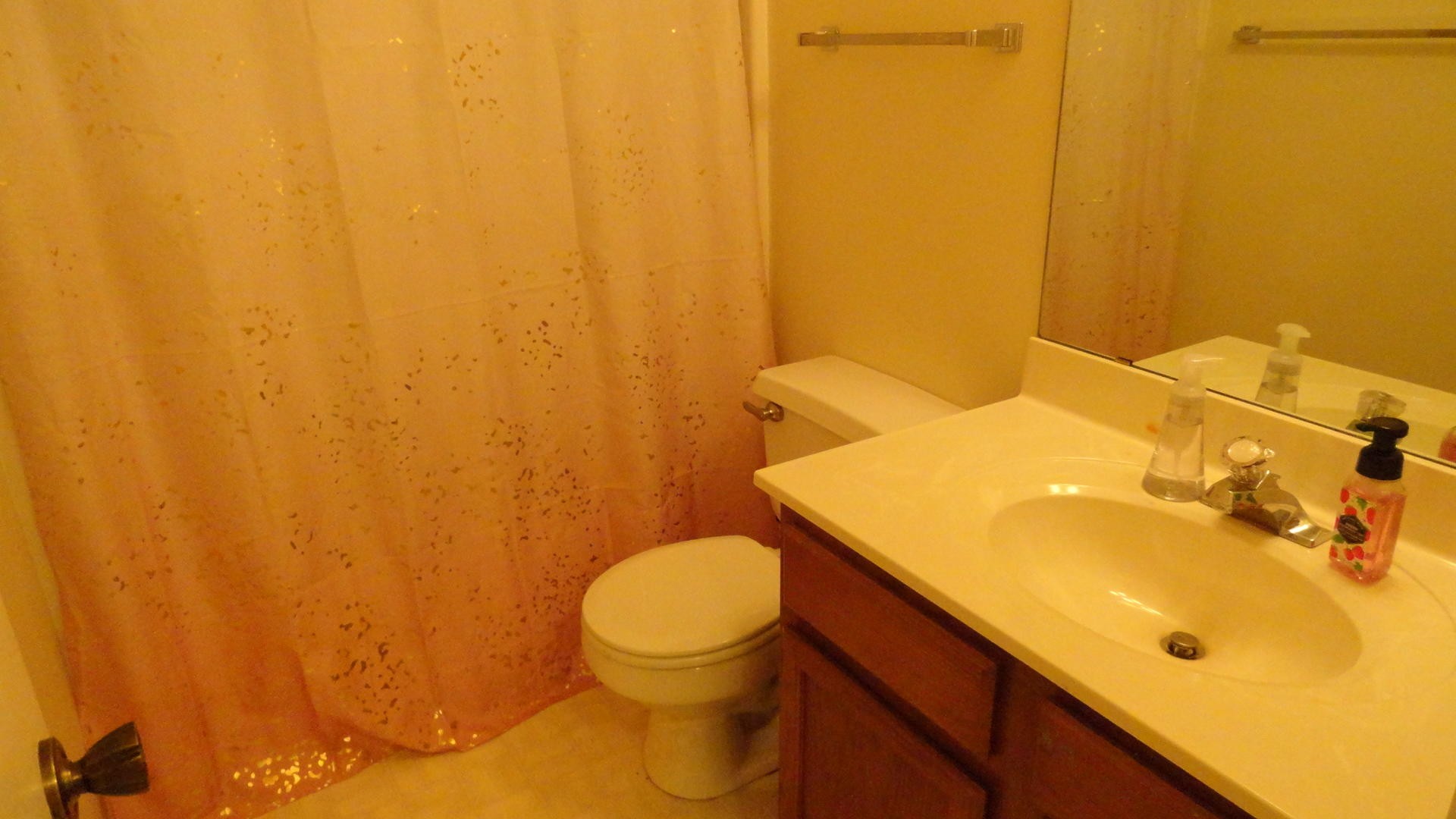 116 Hanover Place Oak Ridge, TN 37830 - Photo 14 of 17 a bathroom with a sink and a toilet