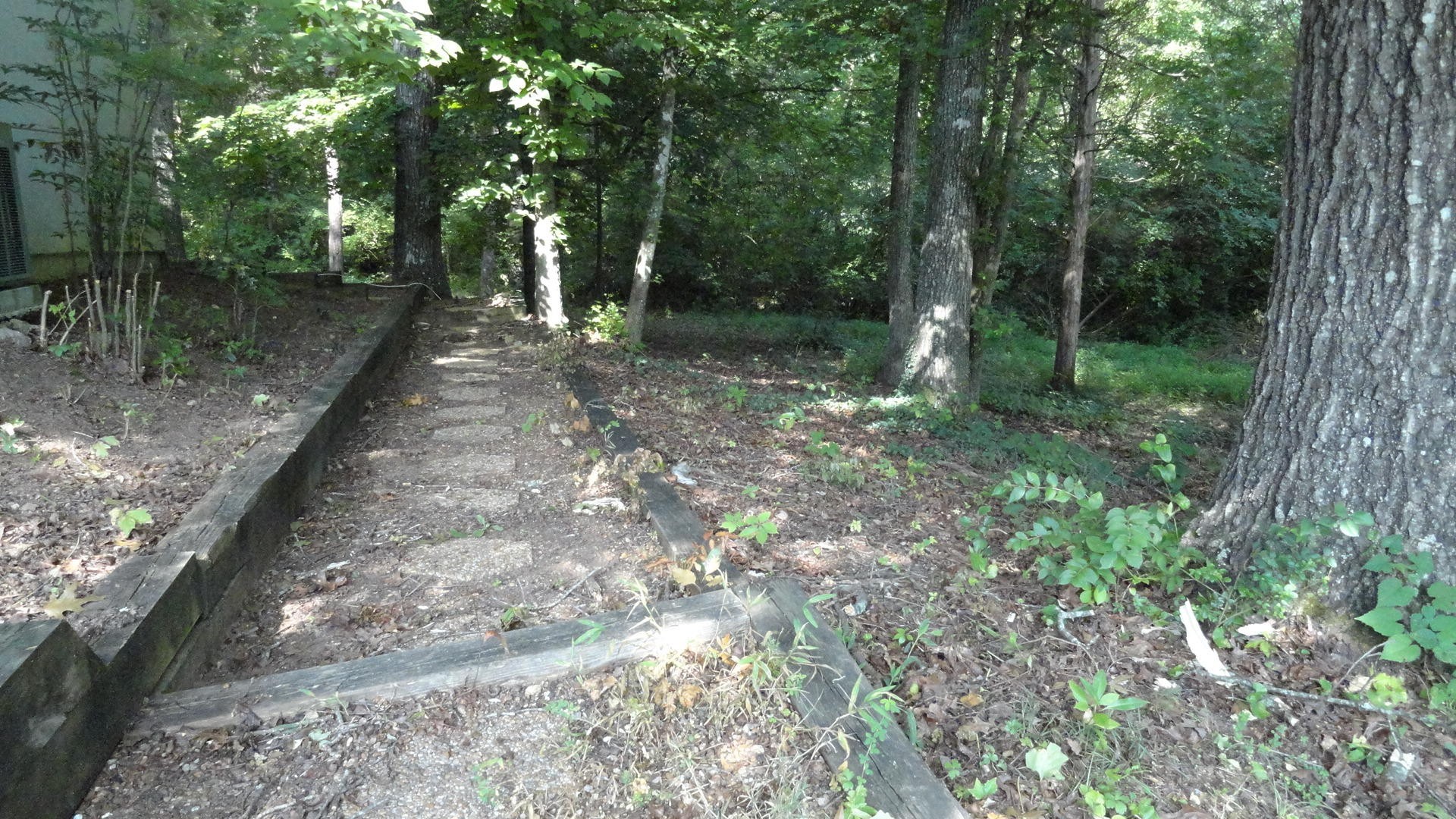 116 Hanover Place Oak Ridge, TN 37830 - Photo 15 of 17 a view of a forest with trees