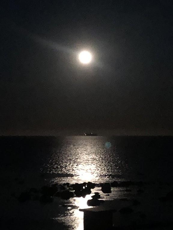 135 Stage Point Road Plymouth, MA 02360 - Photo 34 of 38