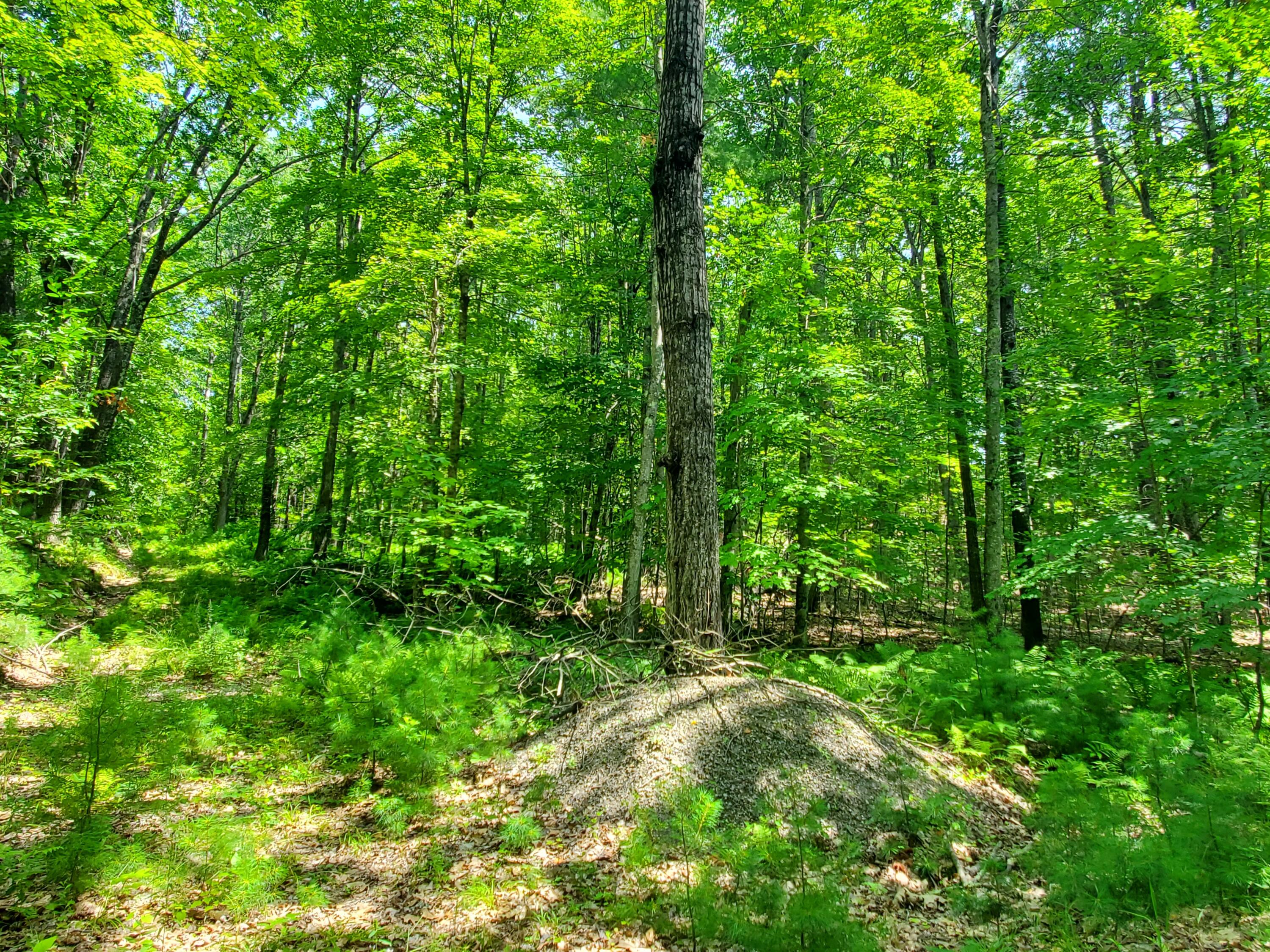 Lot 30 Middle Road Waterboro, ME 04087 - Photo 10 of 10 20250724_132230
