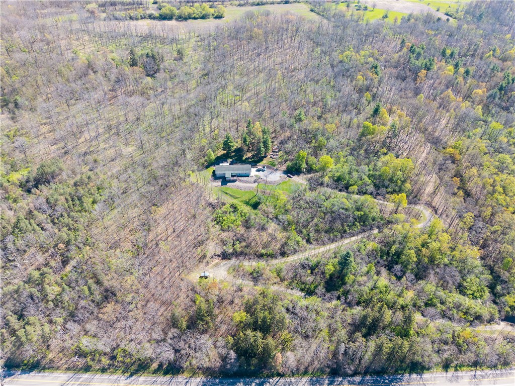 8917 Groveland Station Road Dansville, NY 14437 - Photo 4 of 39