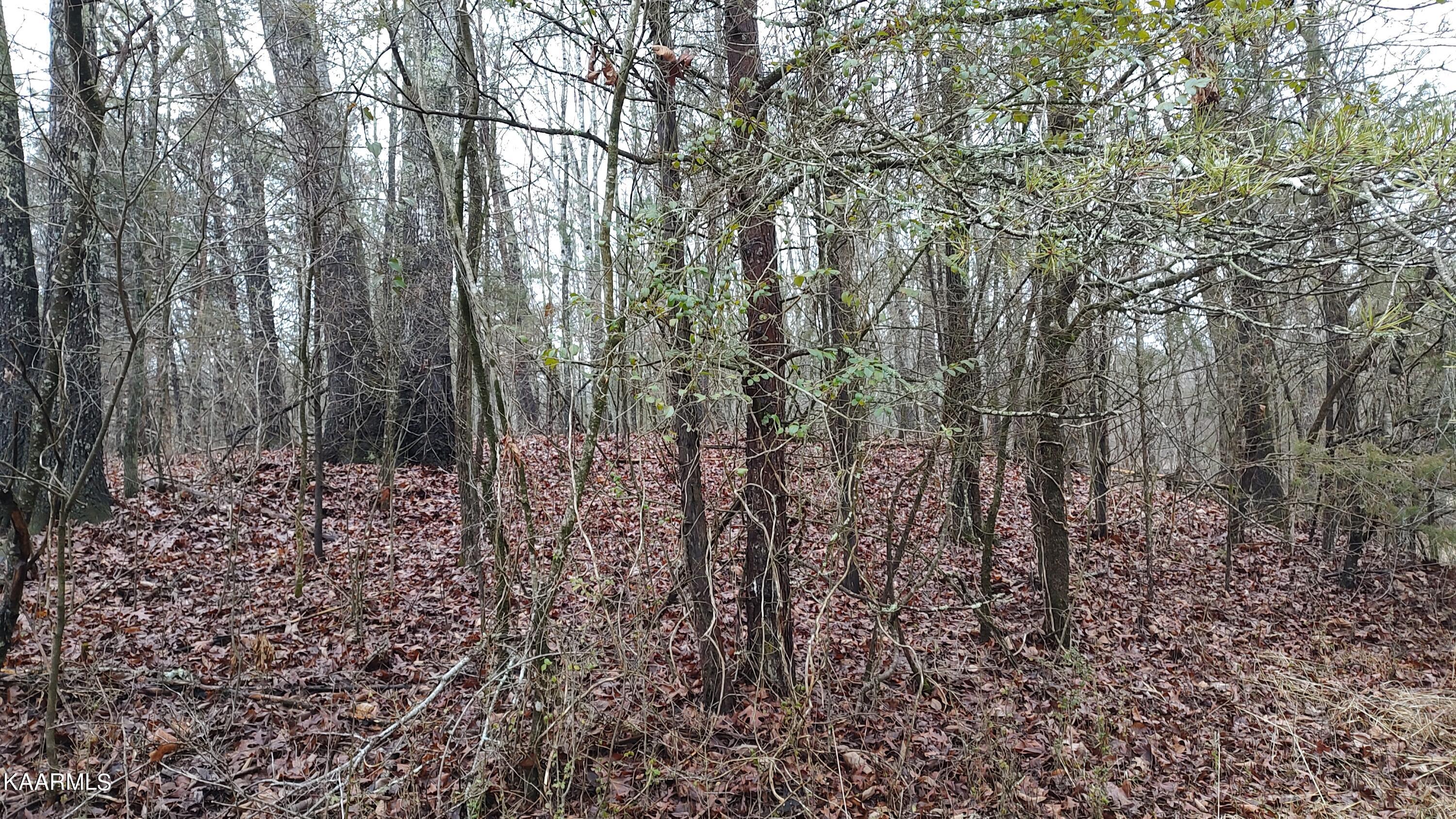 7501 Vonore Road Loudon, TN 37774 - Photo 1 of 2 IMG_20230130_171031781