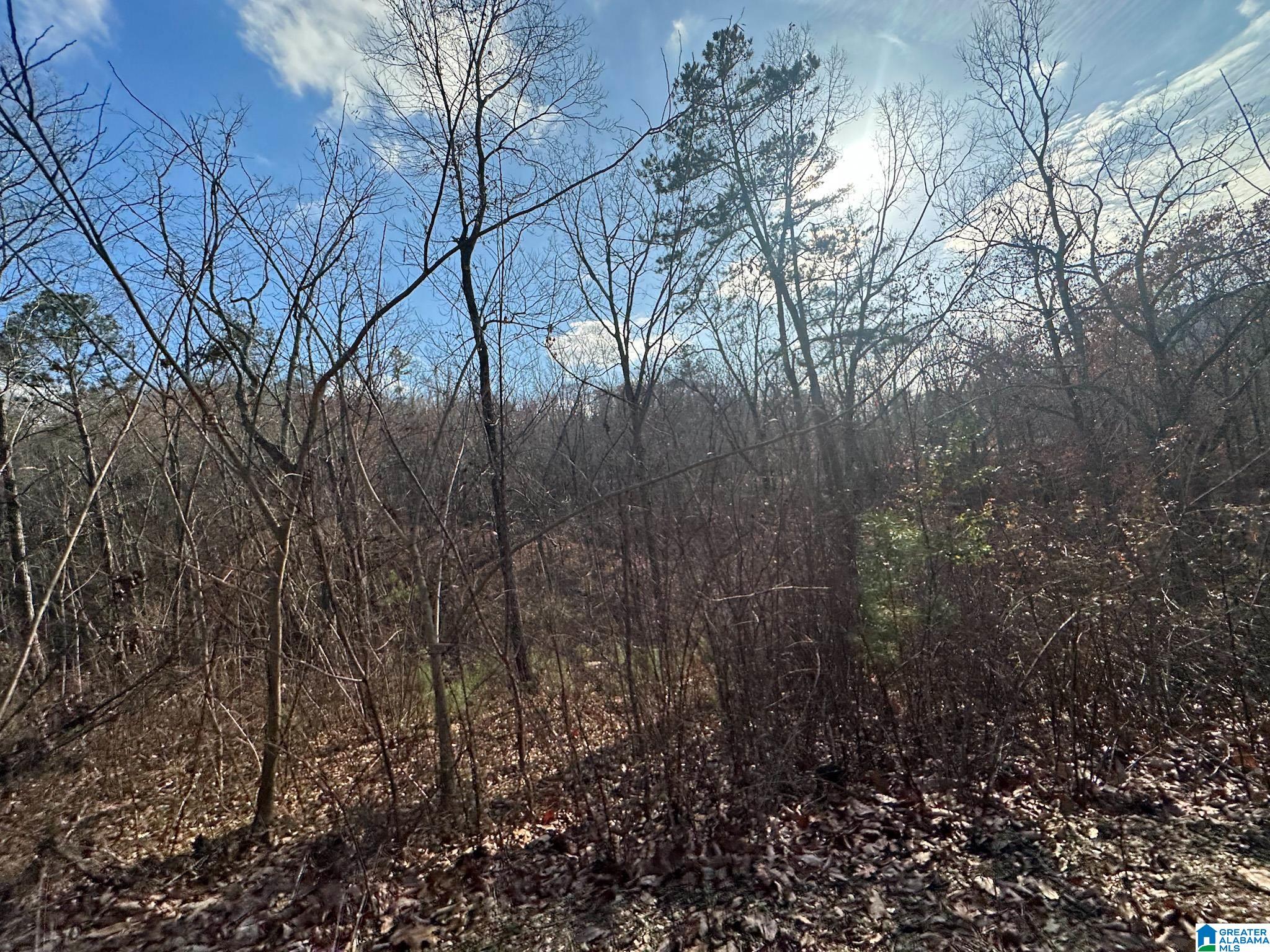 5325 Union T Road Talladega, AL 35160 - Photo 19 of 83