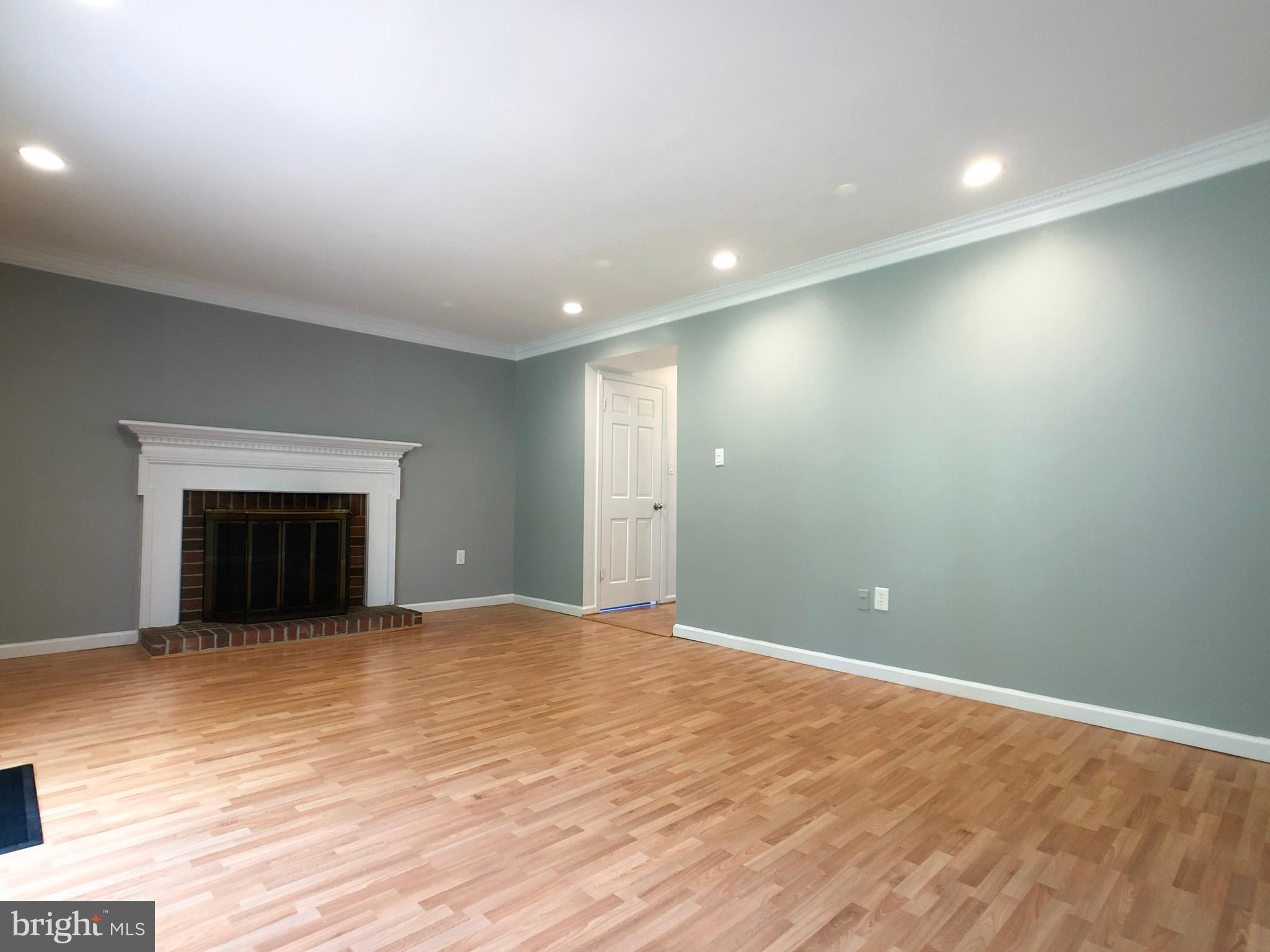 3801 Tremayne Terrace, Unit 20 Silver Spring, MD 20906 - Photo 10 of 35 Living Room with Fireplace