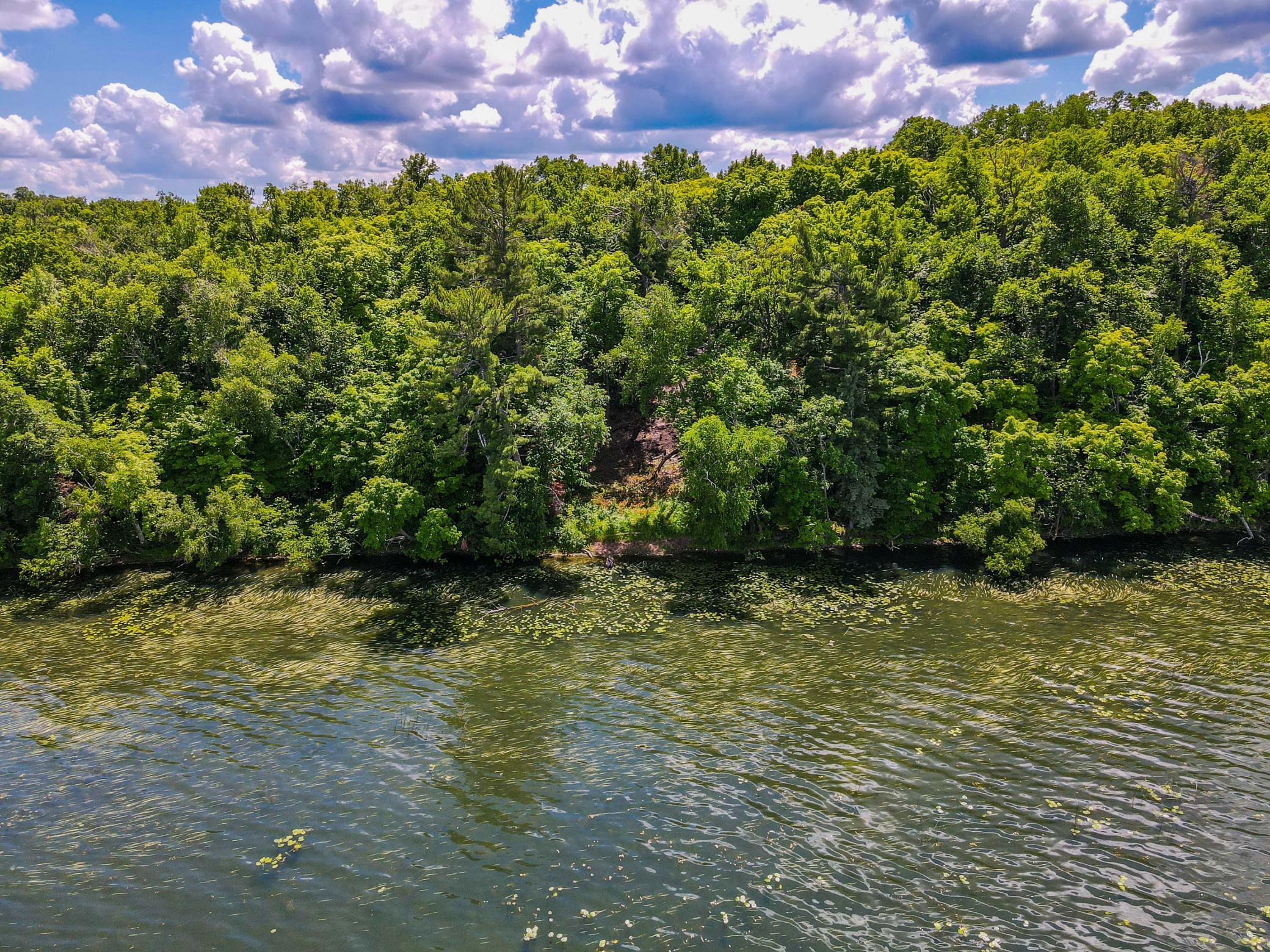 44698 Idas Road Osage, MN 56570 - Photo 12 of 18