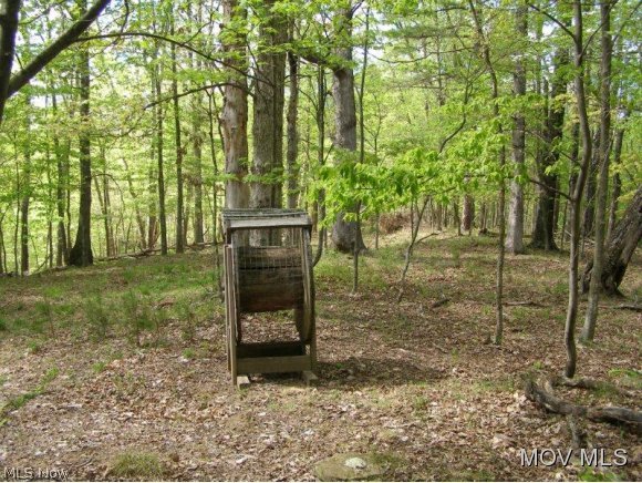 0 Oil Ridge Road Harrisville, WV 26362 - Photo 5 of 8