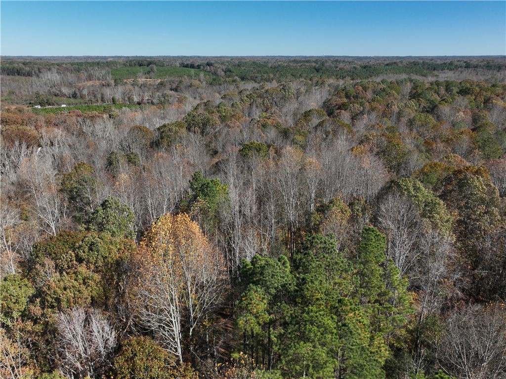 5 Sullivan Road Laurens, SC 29360 - Photo 3 of 7