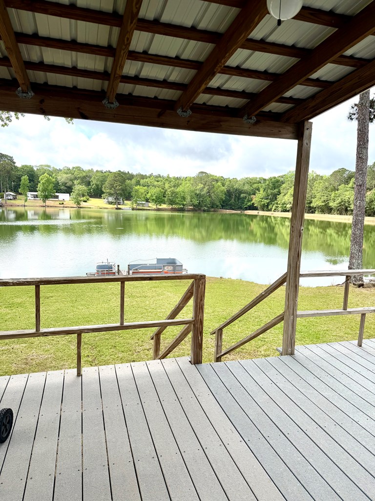 236 Windsor Lake Road Chancellor, AL 36316 - Photo 2 of 38