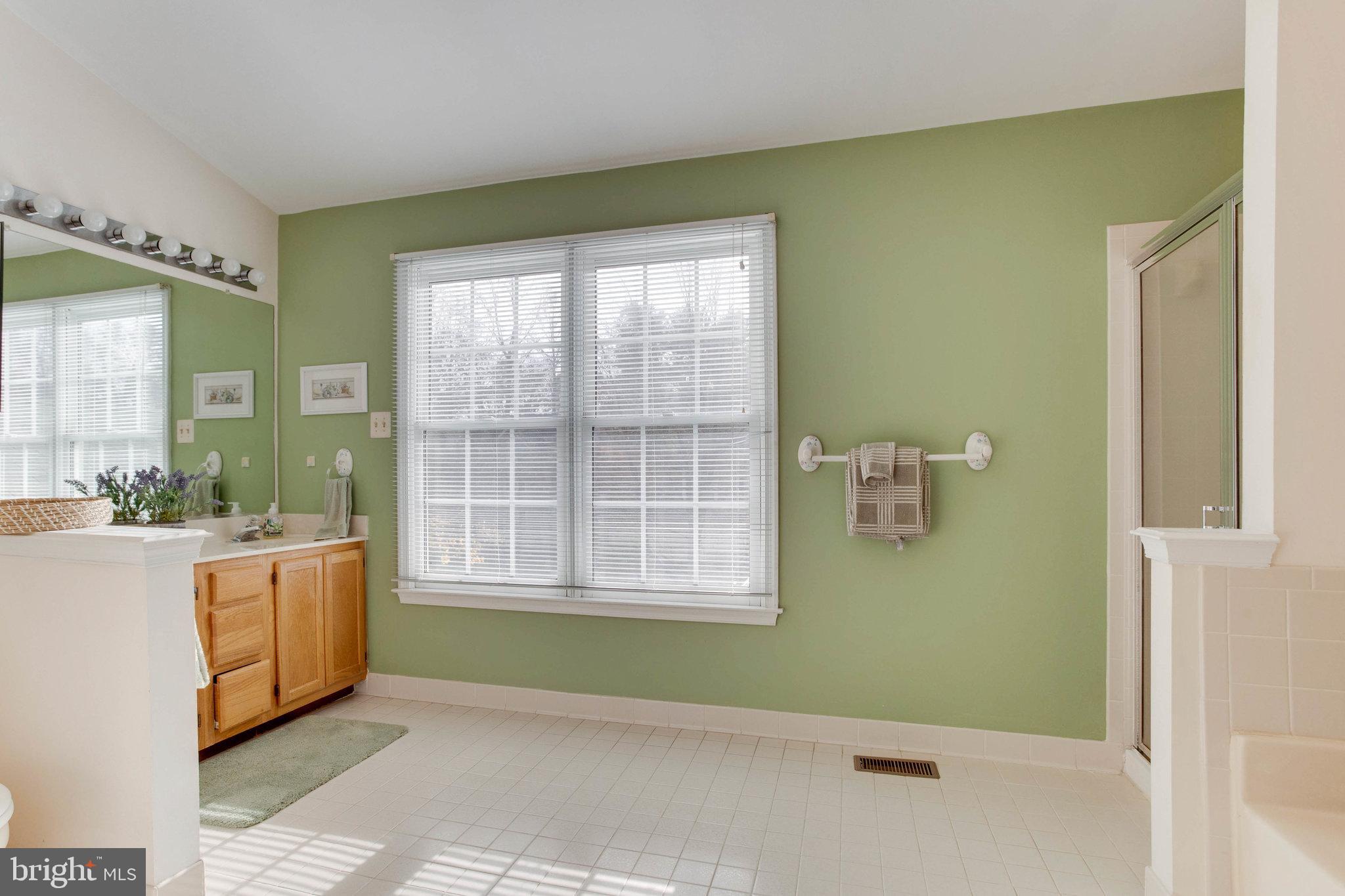 1506 Rochester Court Crofton, MD 21114 - Photo 25 of 45 Another primary bathroom view!