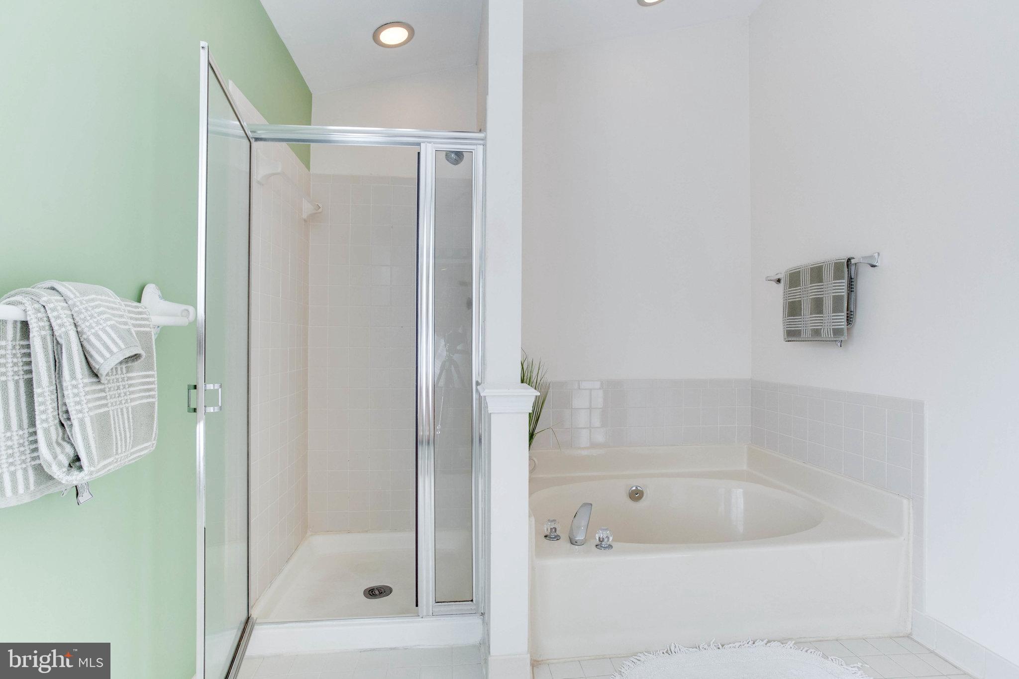 1506 Rochester Court Crofton, MD 21114 - Photo 26 of 45 Soaking tub and separate shower!