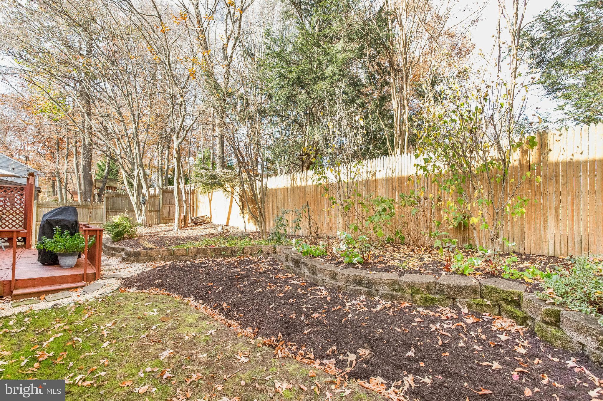 1506 Rochester Court Crofton, MD 21114 - Photo 43 of 45 View of the backyard!