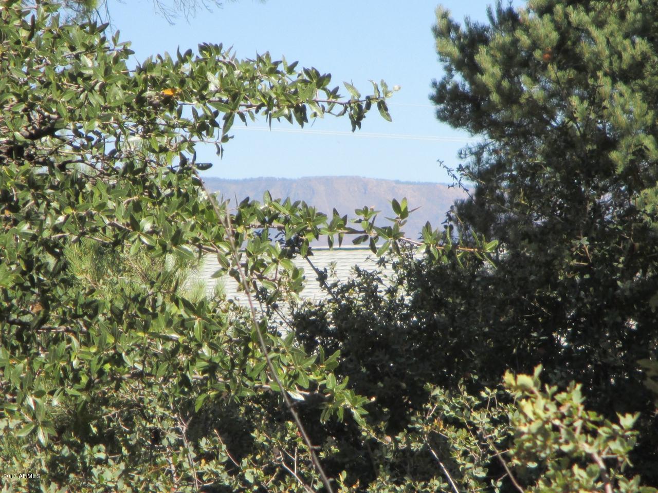 717 West Rim View Road Payson, AZ 85541 - Photo 20 of 27 Photo 20