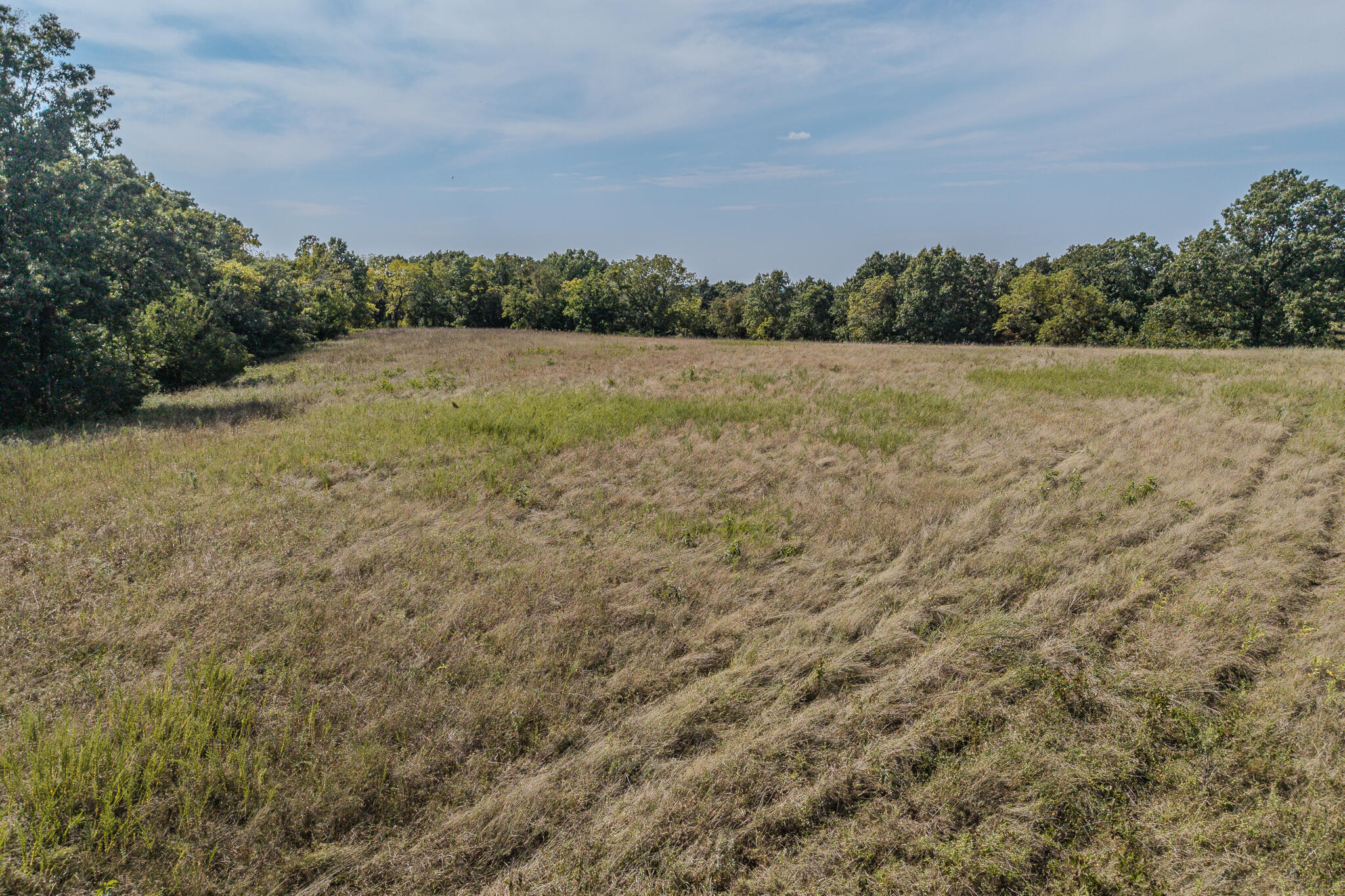 0 White Clover Road Strafford, MO 65757 - Photo 21 of 38 Aerial