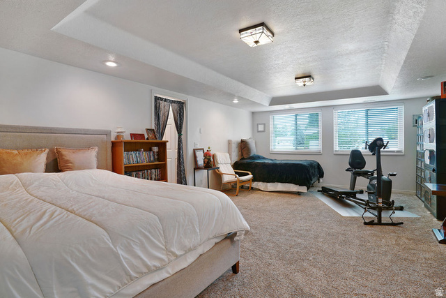 464 West Saddle Back Drive Springville, UT 84663 - Photo 15 of 15 Spacious room featuring tray ceilings with recessed lighting and flush-mount fixtures, two windows with blinds, and neutral carpeting
