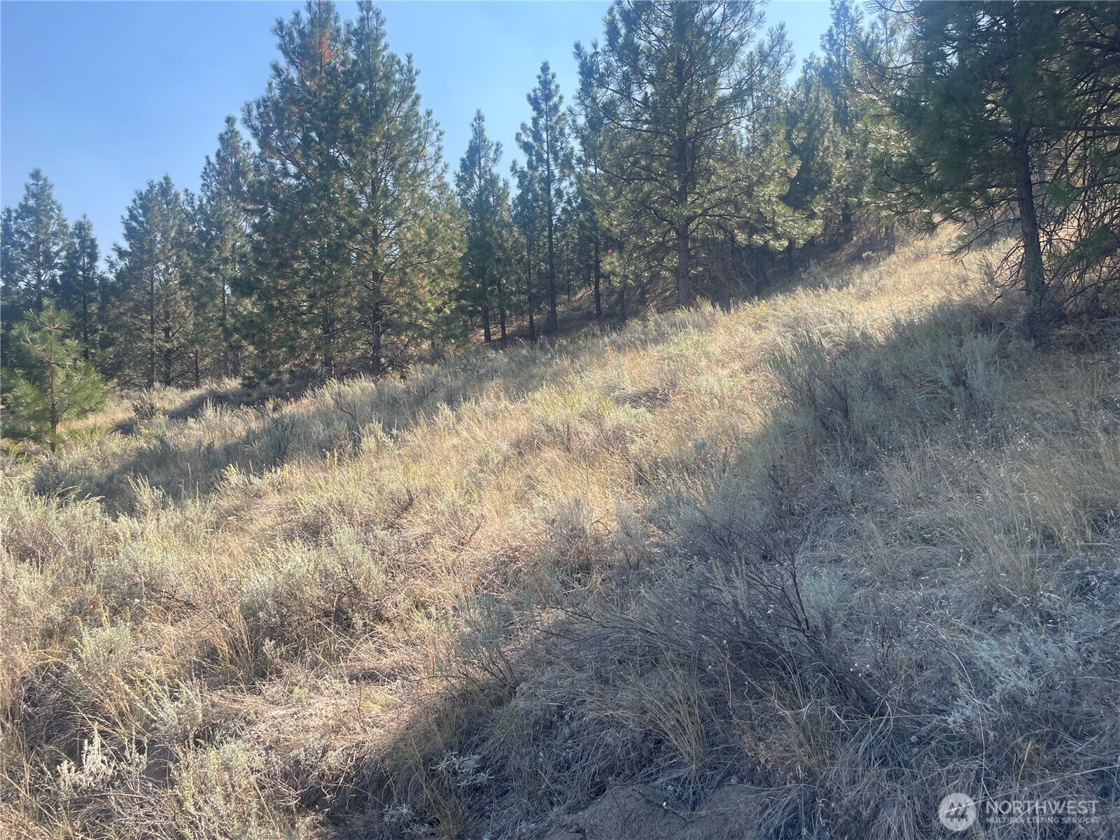 -tbd Reevas Basin Road Tonasket, WA 98855 - Photo 33 of 38