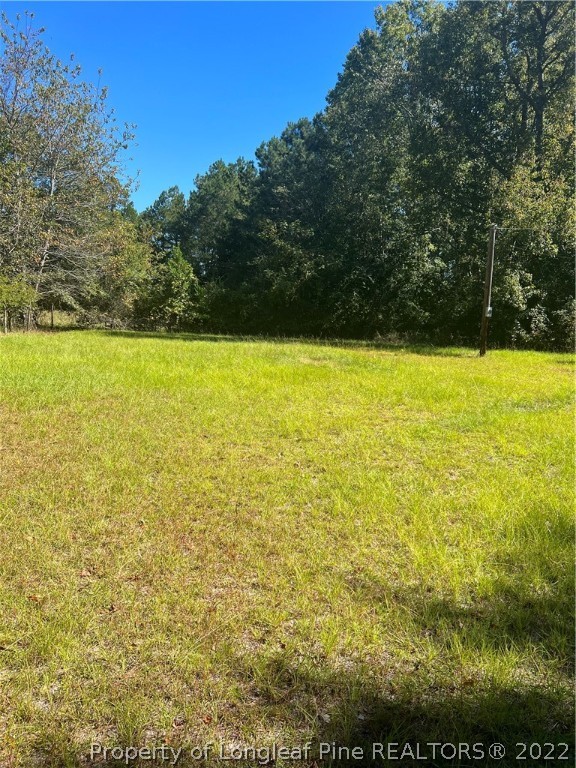 1955 Turkey Branch Road Fairmont, NC 28340 - Photo 6 of 6 Gallery Image 6