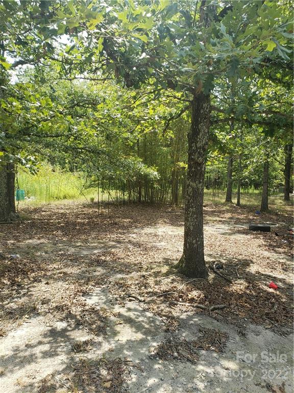 1312 Shiloh Ranch Road, Unit 112 Lancaster, SC 29720 - Photo 8 of 18 a view of a tree with a yard