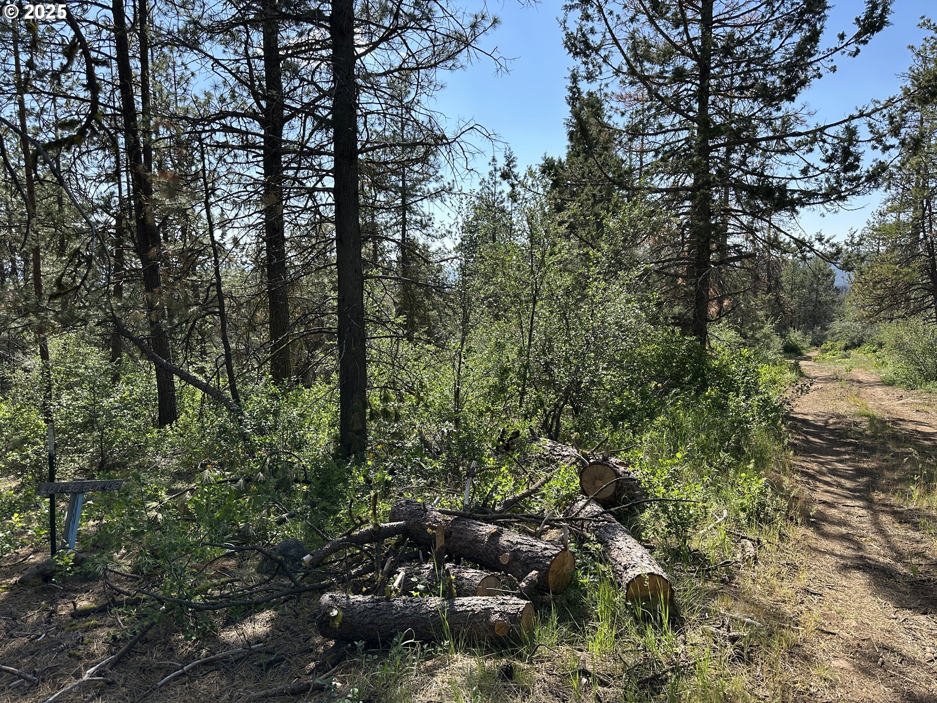 Sandpiper Drive, Unit 2300 Bonanza, OR 97623 - Photo 19 of 27 a view of a forest with trees