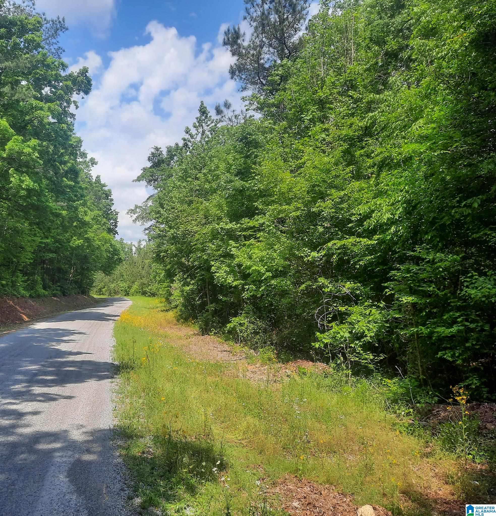 Hale Creek Road Oneonta, AL 35121 - Photo 2 of 17