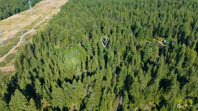 a view of outdoor space and trees