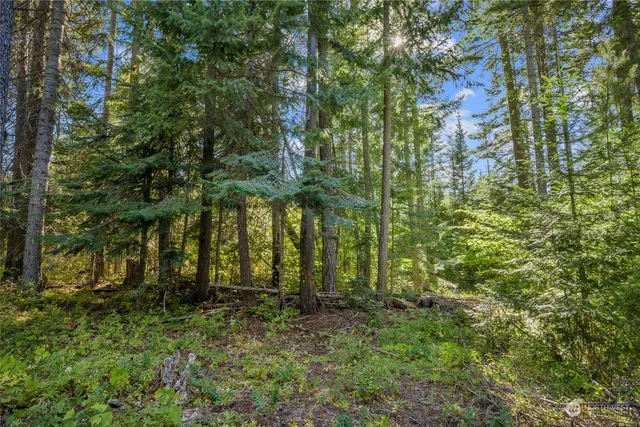 a view of swimming pool with a fountain and trees