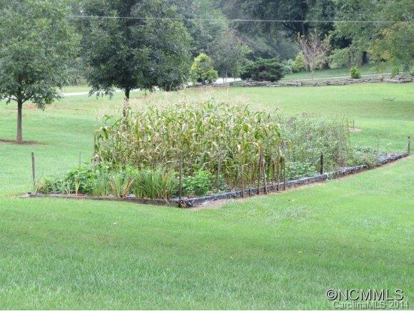 718 Union Road Rutherfordton, NC 28139 - Photo 23 of 24 a view of a field with a tree