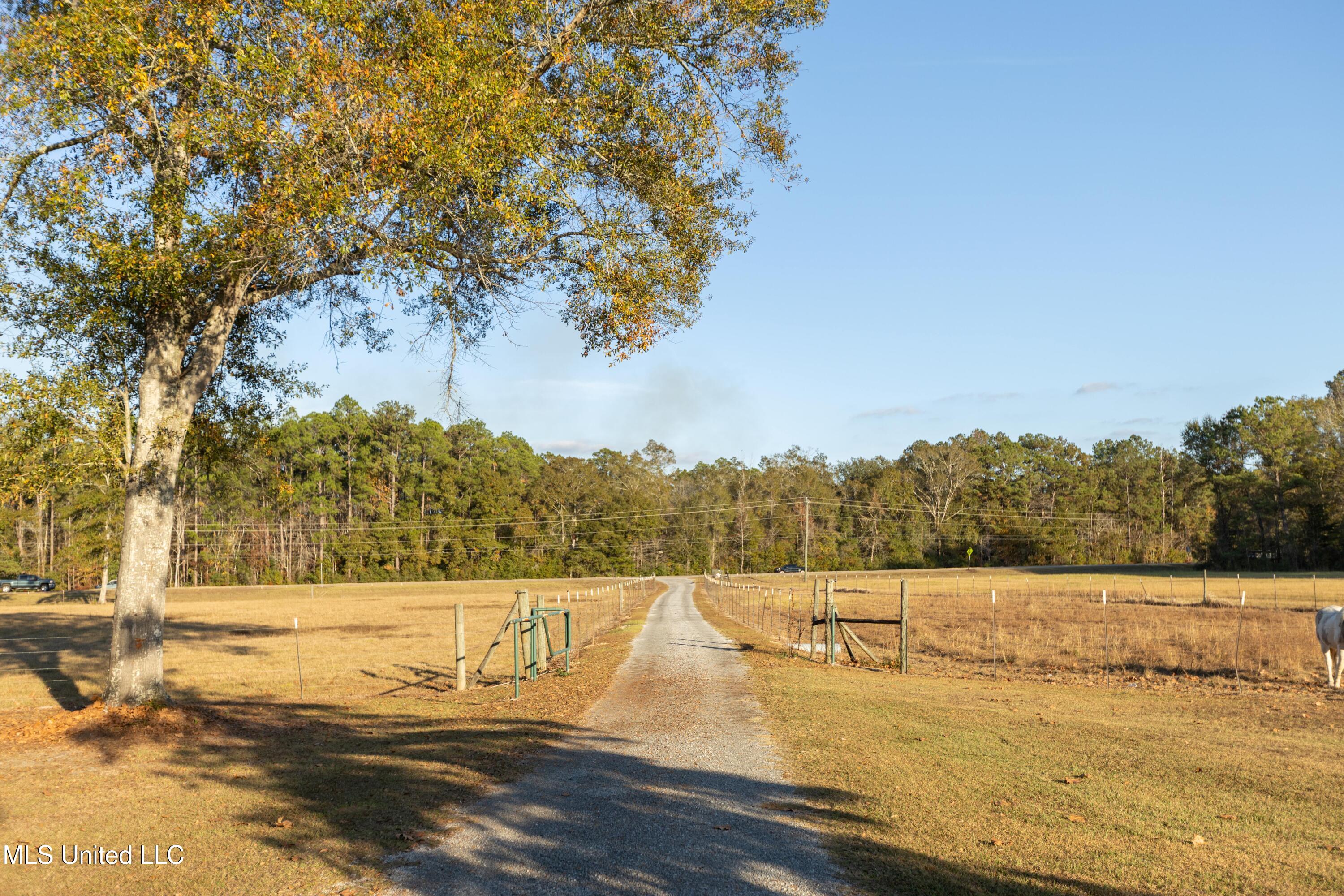 119 Tadpole Lane Lucedale, MS 39452 - Photo 28 of 32 Tadpole Lane Drive