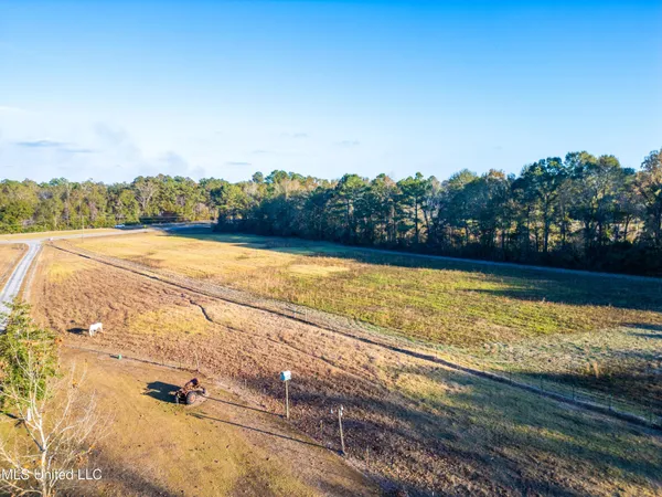 $425,000 | 119 Tadpole Lane, Lucedale, MS 39452