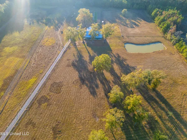 $425,000 | 119 Tadpole Lane, Lucedale, MS 39452