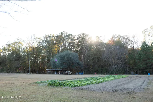 $425,000 | 119 Tadpole Lane, Lucedale, MS 39452