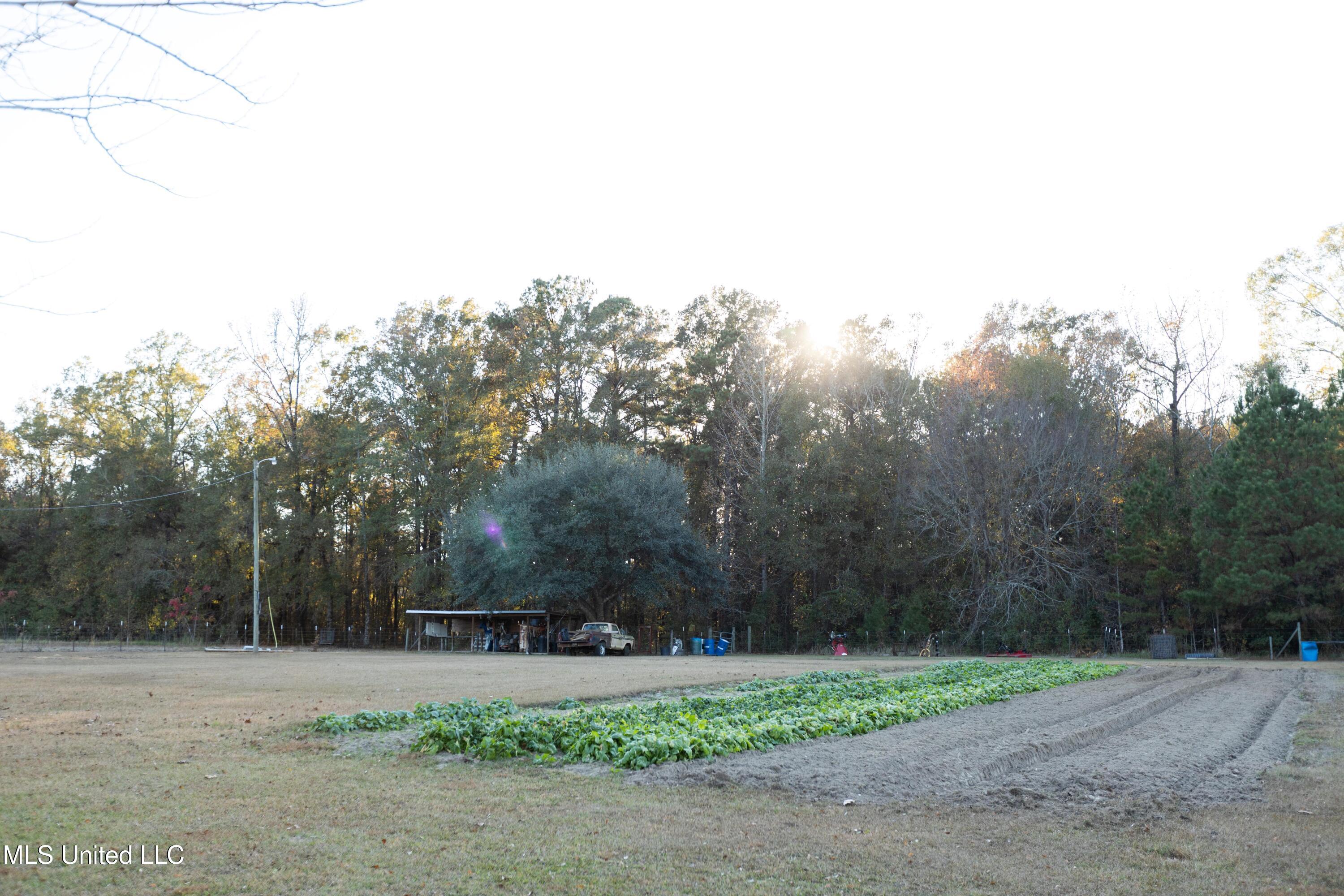 119 Tadpole Lane Lucedale, MS 39452 - Photo 31 of 32 Tadpole Lane Garden site
