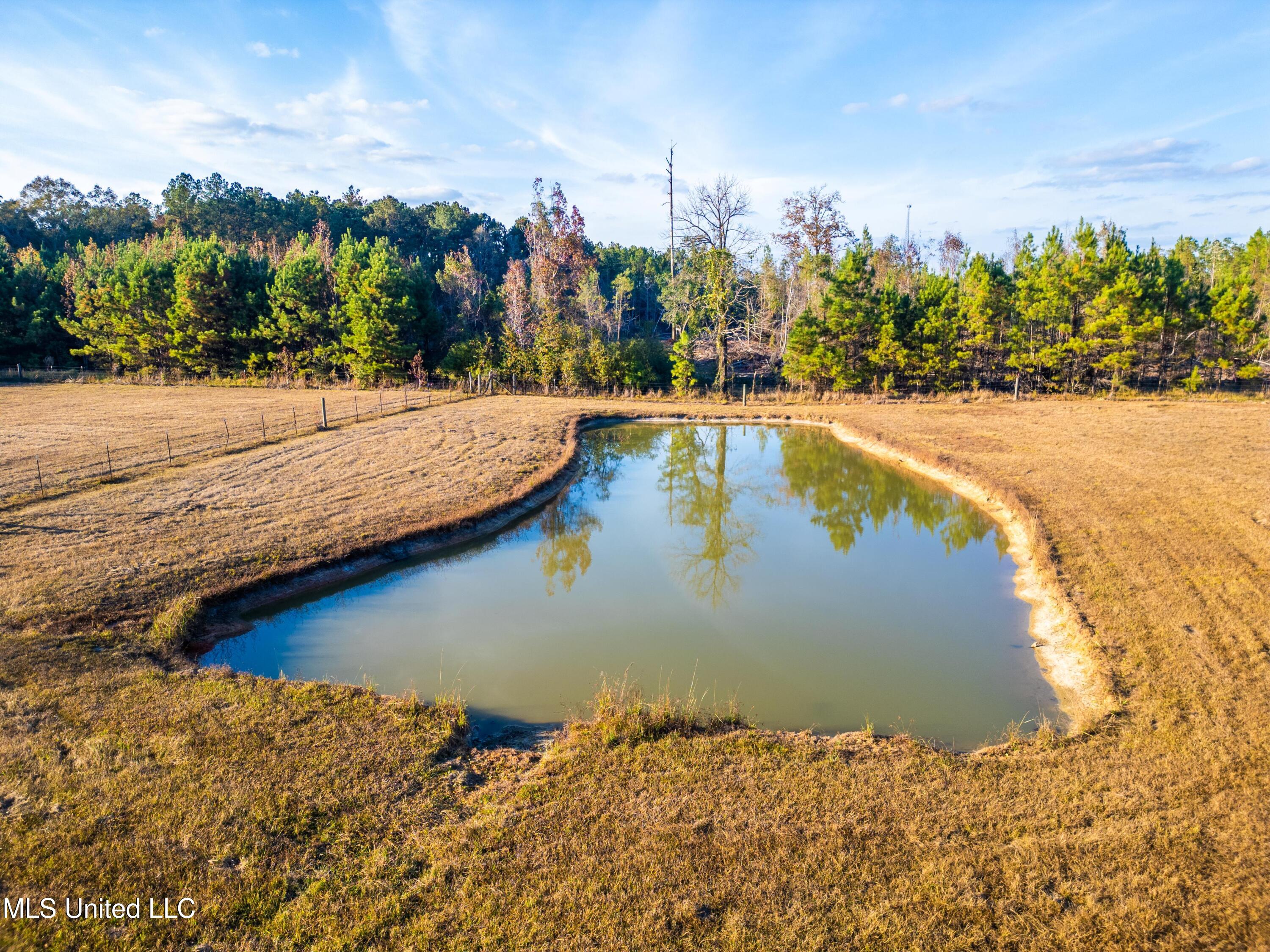 119 Tadpole Lane Lucedale, MS 39452 - Photo 32 of 32 Tadpole Lane Pond