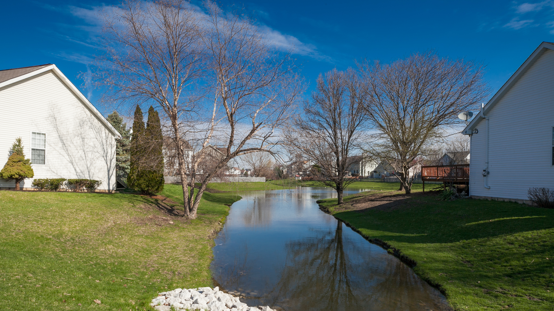 1850 Carrier Circle Plainfield, IL 60586 - Photo 11 of 13 a view of backyard with tree