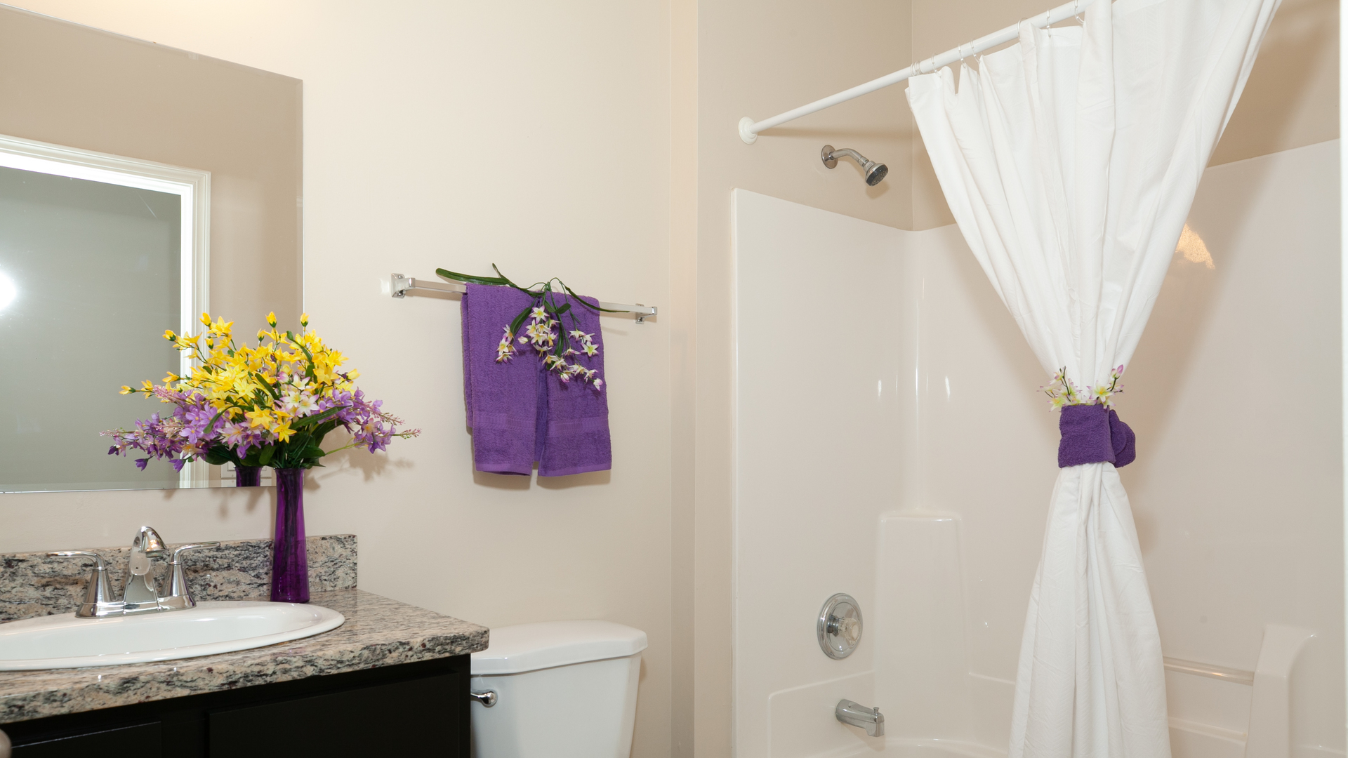 1850 Carrier Circle Plainfield, IL 60586 - Photo 7 of 13 a bathroom with a granite countertop sink and a mirror