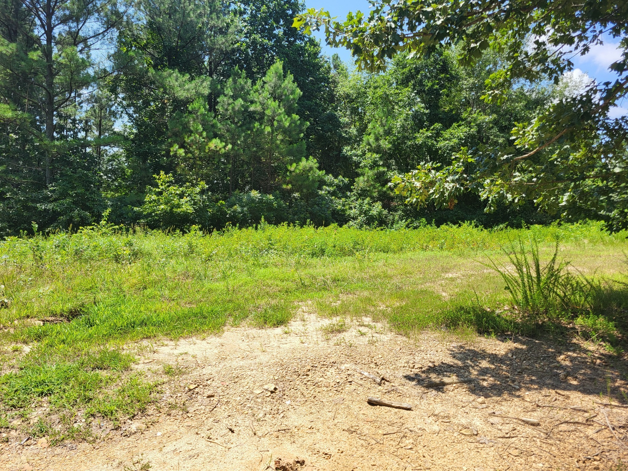 12946 Birdsong Road Holladay, TN 38341 - Photo 12 of 14 Gallery Image 12
