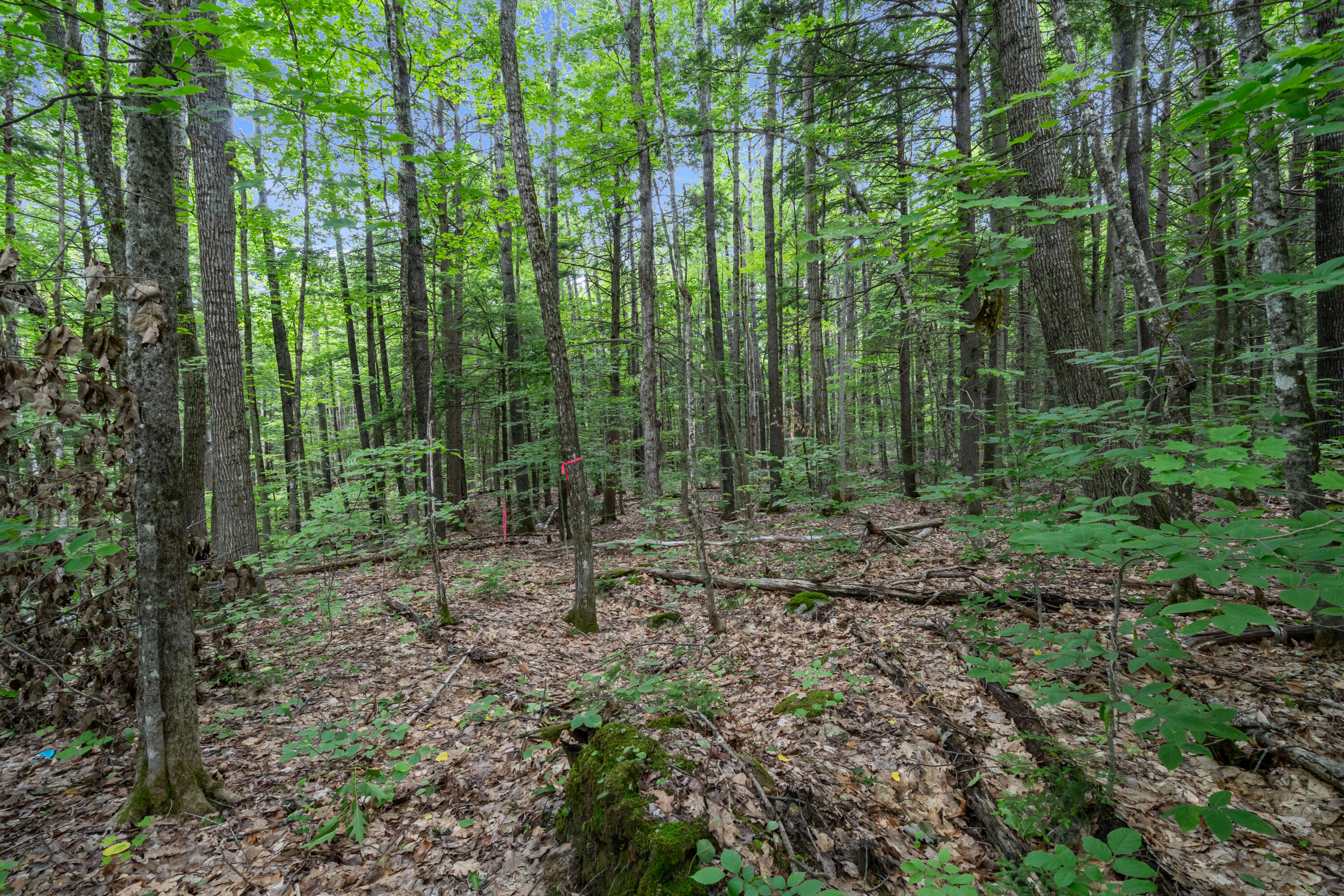 Lot 1-8 Watson Hill Road Limerick, ME 04048 - Photo 21 of 26 DSC00962